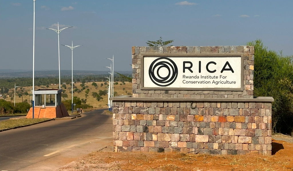 RICA - Rwanda Institute for Conservation Agriculture Project